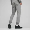 Puma Kelnės Vyrams TeamGoal Casuals Pants Pilkas 658598 33