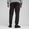 Puma Kelnės Vyrams TeamGoal Casuals Pants Juodas 658598 03