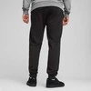 Puma Kelnės Vyrams TeamGoal Casuals Pants Juodas 658598 03