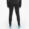 Puma Kelnės Vyrams TeamLiga Training Pants Juodas 657242 03