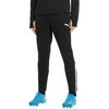 Puma Kelnės Vyrams TeamLiga Training Pants Juodas 657242 03