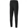 Puma Kelnės Vyrams TeamRise Poly Training Pants 657390 03