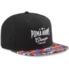 Puma Kepurė Basketball Pro Fb Cap Juodas Colored 024916 04