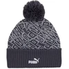 Puma Kepurė Ess Pom Beanie Pilkas 025469 03