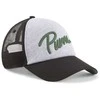 Puma Kepurė Ess+ Trucker Cap Pilkas 025120 01
