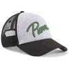 Puma Kepurė Ess+ Trucker Cap Pilkas 025120 01