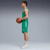 Puma Krepšinio Marškinėliai Vyrams TeamJaws Starter Jersey Žalias 685363 10