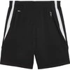 Puma Krepšinio Šortai Vyrams TeamJaws Starter Juodas 685364 01