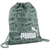 Puma Krepšys Phase Aop Small Gym Žalias 091325 01