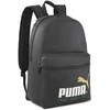Puma Kuprinė Phase 75 Years Celebra Juodas 090108 01