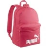 Puma Kuprinė Phase Backpack Rožinė 079943 11