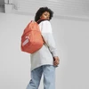 Puma Kuprinė Phase Backpack Oranžinis 079943 07