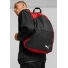 Puma Kuprinė Teamgoal Backpack Core Juodas Raudona 090238 03