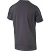 Puma Marškinėliai Afc Fan Tee - Crest Q3 Pilkas 749297 12
