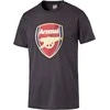 Puma Marškinėliai Afc Fan Tee - Crest Q3 Pilkas 749297 12