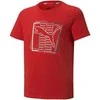 Puma Marškinėliai Paaugliams Alpha Graphic Tee Raudona 847281 11
