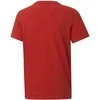 Puma Marškinėliai Paaugliams Alpha Graphic Tee Raudona 847281 11