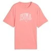 Puma Marškinėliai Paaugliams Class Tee rusvai gelsvas 685828 87
