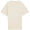 Puma Marškinėliai Paaugliams Class Tee rusvai gelsvas 685828 87