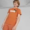 Puma Marškinėliai Paaugliams Ess+ 2 Col Logo Tee Oranžinis 586985 95