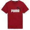 Puma Marškinėliai Paaugliams Ess+ 2 Col Logo Tee Bordo 586985 14