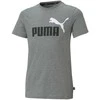 Puma Marškinėliai Paaugliams Ess+ 2 Col Logo Tee Pilkas 586985 03