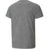 Puma Marškinėliai Paaugliams Ess+ 2 Col Logo Tee Pilkas 586985 03