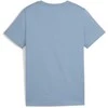 Puma Marškinėliai Paaugliams Ess+ 2 Col Logo Tee Mėlyna 586985 20