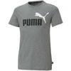 Puma Marškinėliai Paaugliams Ess+ 2 Col Logo Tee Pilkas 586985 03