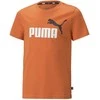 Puma Marškinėliai Paaugliams Ess+ 2 Col Logo Tee Oranžinis 586985 95