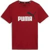 Puma Marškinėliai Paaugliams Ess+ 2 Col Logo Tee Bordo 586985 14