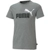 Puma Marškinėliai Paaugliams Ess+ 2 Col Logo Tee Pilkas 586985 03
