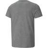Puma Marškinėliai Paaugliams Ess+ 2 Col Logo Tee Pilkas 586985 03