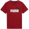 Puma Marškinėliai Paaugliams Ess+ 2 Col Logo Tee Bordo 586985 14