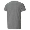 Puma Marškinėliai Paaugliams Ess+ 2 Col Logo Tee Pilkas 586985 03