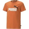 Puma Marškinėliai Paaugliams Ess+ 2 Col Logo Tee Oranžinis 586985 95