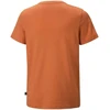 Puma Marškinėliai Paaugliams Ess+ 2 Col Logo Tee Oranžinis 586985 95