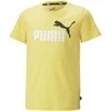 Puma Marškinėliai Paaugliams Ess+ 2 Col Logo Tee Geltona 586985 45