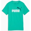 Puma Marškinėliai Paaugliams Ess 2 Color Small No. 1 Logo Tee Žalias 685778 40