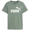 Puma Marškinėliai Paaugliams Ess Logo Tee Žalias 586960 45