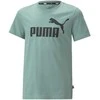 Puma Marškinėliai Paaugliams Ess Logo Tee Žalias 586960 84