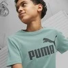 Puma Marškinėliai Paaugliams Ess Logo Tee Žalias 586960 84