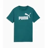 Puma Marškinėliai Paaugliams Ess No.1 Logo Tee Žalias 684906 41