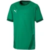Puma Marškinėliai Paaugliams TeamGoal 23 Jerse Žalias 704160 05