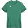 Puma Marškinėliai Paaugliams TeamGoal Matchday Jr Žalias 705748 05