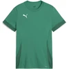 Puma Marškinėliai Paaugliams TeamGoal Matchday Jr Žalias 705748 05