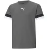 Puma Marškinėliai Paaugliams TeamRise Jersey Pilkas 704938 13