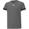 Puma Marškinėliai Paaugliams TeamRise Jersey Pilkas 704938 13