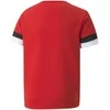 Puma Marškinėliai Paaugliams TeamRise Jersey Raudona 704938 01