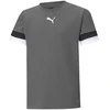Puma Marškinėliai Paaugliams TeamRise Jersey Pilkas 704938 13